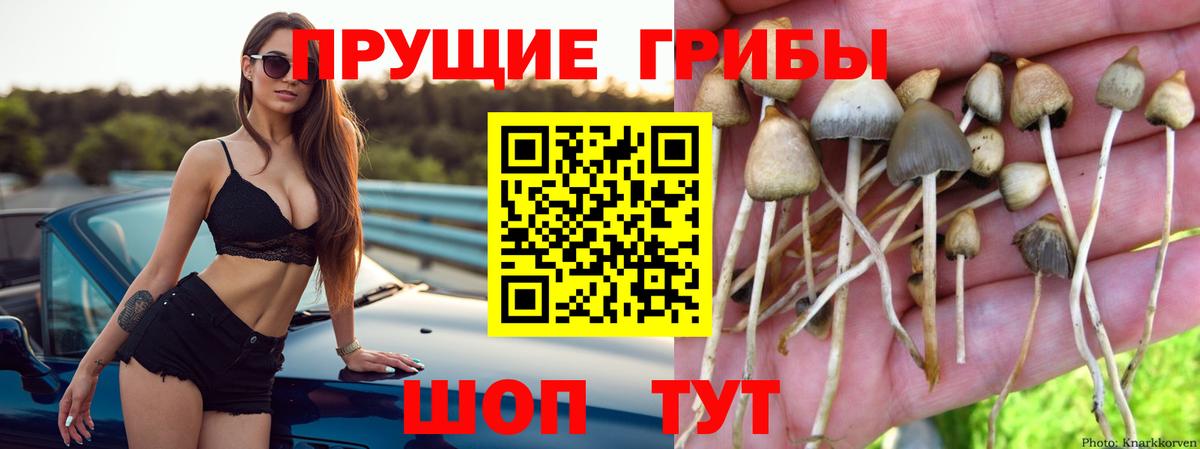 Галлюциногенные грибы GOLDEN TEACHER Углич
